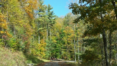 Spectacular Mountaintop Residential Development in VA! - image 17