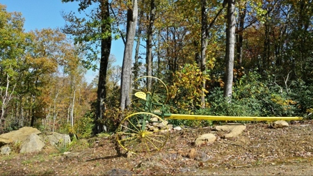 Spectacular Mountaintop Residential Development in VA! - image 13
