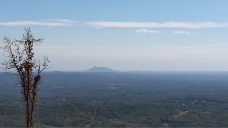 Spectacular Mountaintop Residential Development in VA! - image 12