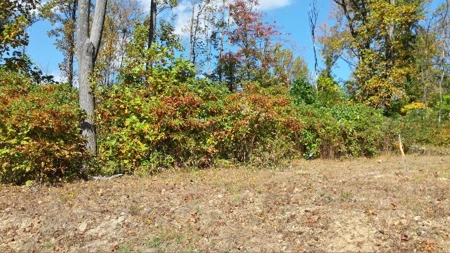 Spectacular Mountaintop Residential Development in VA! - image 4