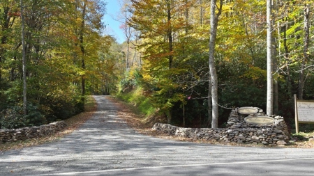 Spectacular Mountaintop Residential Development in VA! - image 22