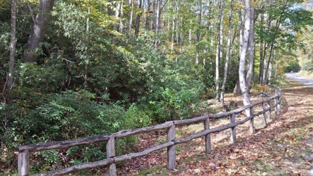 Spectacular Mountaintop Residential Development in VA! - image 19
