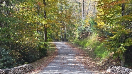 Spectacular Mountaintop Residential Development in VA! - image 23