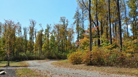 Spectacular Mountaintop Residential Development in VA! - image 10
