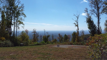 Spectacular Mountaintop Residential Development in VA! - image 5