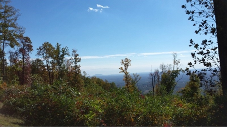Spectacular Mountaintop Residential Development in VA! - image 8