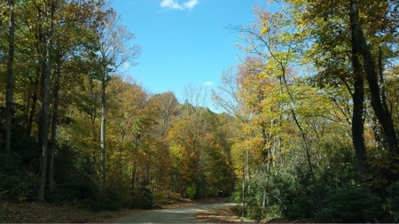 Spectacular Mountaintop Residential Development in VA! - image 14