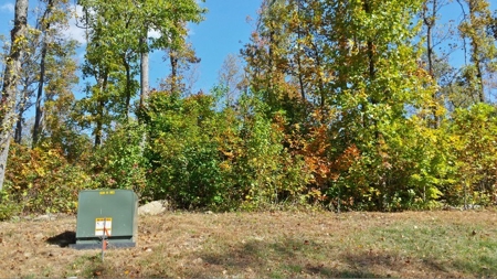Spectacular Mountaintop Residential Development in VA! - image 3