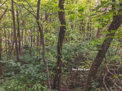 Doe Run Resort Building Lots for Sale at Auction in VA! - image 8