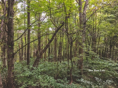 Doe Run Resort Building Lots for Sale at Auction in VA! - image 7