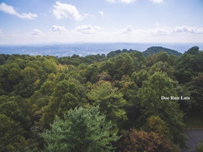 Doe Run Resort Building Lots for Sale at Auction in VA! - image 3