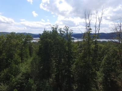 East Tenn Lot For Sale At Auction Lakefront Subdivision - image 9