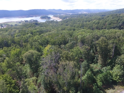 East Tenn Lot For Sale At Auction Lakefront Subdivision - image 1