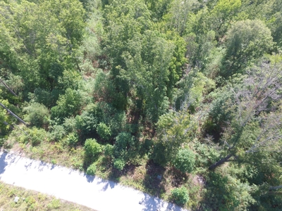 East Tenn Lot For Sale At Auction Lakefront Subdivision - image 3