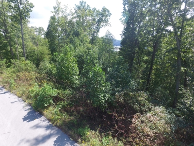 East Tenn Lot For Sale At Auction Lakefront Subdivision - image 11