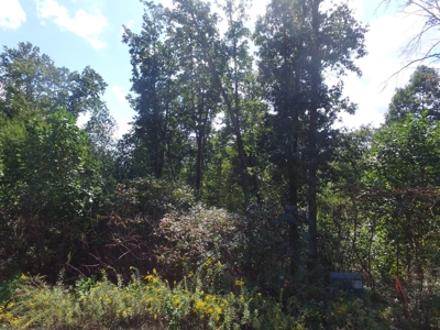 East Tenn Lot For Sale At Auction Lakefront Subdivision - image 13