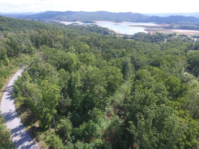 East Tenn Lot For Sale At Auction Lakefront Subdivision - image 8