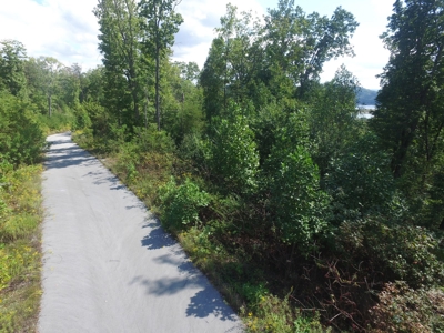 East Tenn Lot For Sale At Auction Lakefront Subdivision - image 12