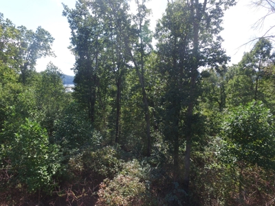 East Tenn Lot For Sale At Auction Lakefront Subdivision - image 10