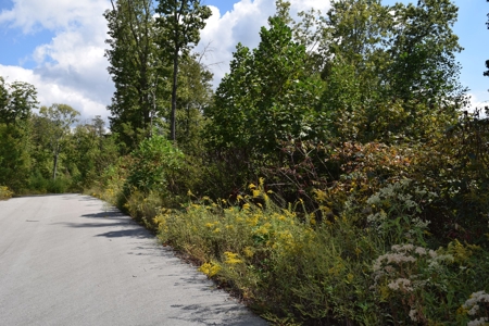 East Tenn Lot For Sale At Auction Lakefront Subdivision - image 15