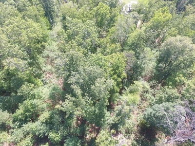 East Tenn Lot For Sale At Auction Lakefront Subdivision - image 5
