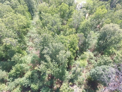 East Tenn Lot For Sale At Auction Lakefront Subdivision - image 4