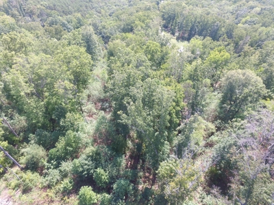 East Tenn Lot For Sale At Auction Lakefront Subdivision - image 7