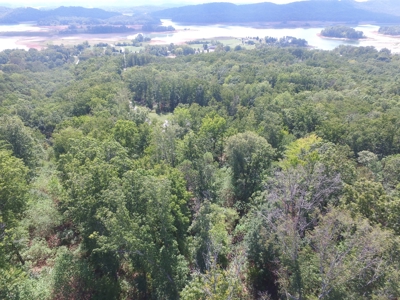 East Tenn Lot For Sale At Auction Lakefront Subdivision - image 2