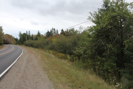 Maine Land for Sale in Pembroke - image 3