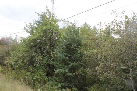 Maine Land for Sale in Pembroke - image 2