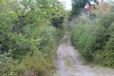 Maine Land for Sale in Pembroke - image 4