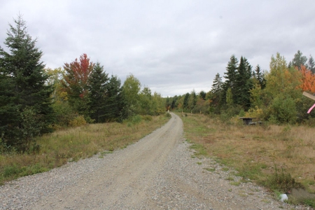 Maine Land for Sale in Pembroke - image 6