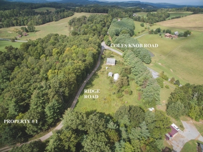 Country Home on 1.66 Acres in Pilot VA for Sale at Auction! - image 3