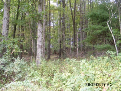 2 Story Home on 21.22 Acres in Willis VA for Sale at Auction - image 9