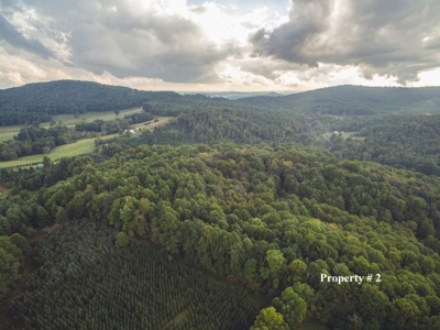 2 Story Home on 21.22 Acres in Willis VA for Sale at Auction - image 7