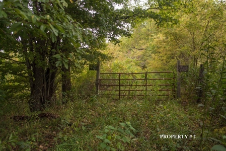 2 Story Home on 21.22 Acres in Willis VA for Sale at Auction - image 2