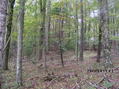2 Story Home on 21.22 Acres in Willis VA for Sale at Auction - image 10