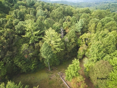 1.64 Acres of Wooded Land for Sale at Floyd VA Tax Auction! - image 1