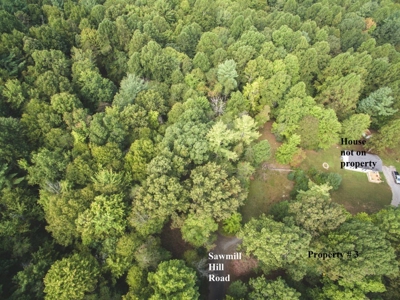 1.64 Acres of Wooded Land for Sale at Floyd VA Tax Auction! - image 2
