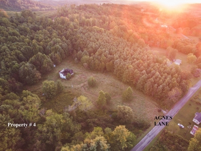 5 Acres of Land for Sale at Auction in Willis VA! - image 3