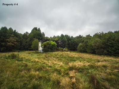 5 Acres of Land for Sale at Auction in Willis VA! - image 5