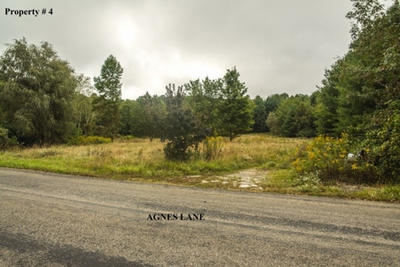 5 Acres of Land for Sale at Auction in Willis VA! - image 2