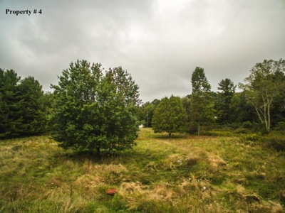 5 Acres of Land for Sale at Auction in Willis VA! - image 6