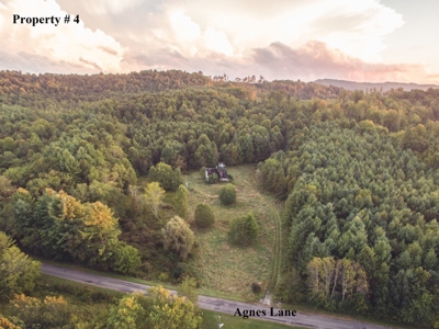5 Acres of Land for Sale at Auction in Willis VA! - image 4