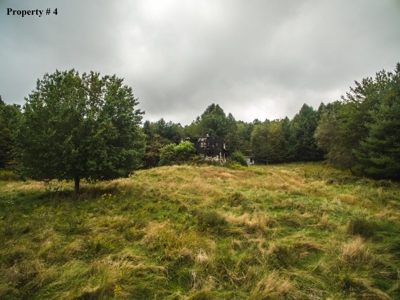 5 Acres of Land for Sale at Auction in Willis VA! - image 1