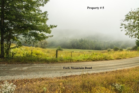 Building Site for Sale in Meadows of Dan VA & Parkway! - image 2