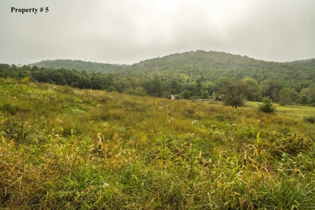 Building Site for Sale in Meadows of Dan VA & Parkway! - image 4