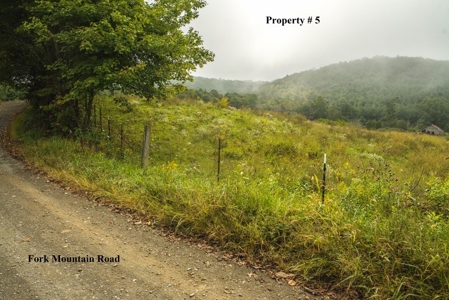 Building Site for Sale in Meadows of Dan VA & Parkway! - image 3