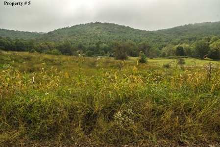 Building Site for Sale in Meadows of Dan VA & Parkway! - image 1