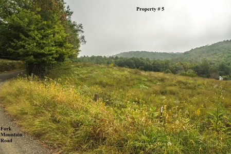 Building Site for Sale in Meadows of Dan VA & Parkway! - image 5